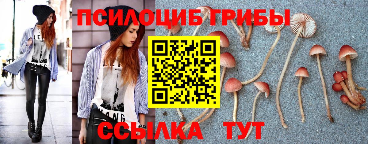 Галлюциногенные грибы Psilocybine cubensis Новокубанск
