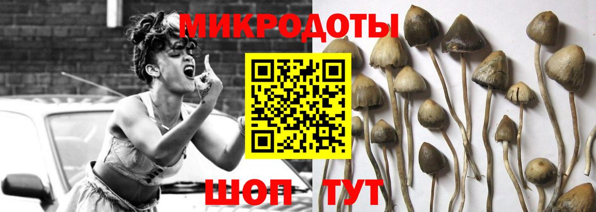 Новокубанск  Псилоцибиновые грибы Magic Shrooms  Вход с VPN 